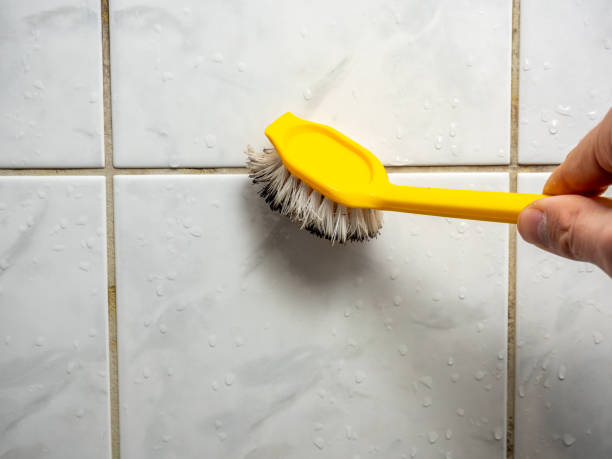 Best Residential Mold Remediation in Willits, CA
